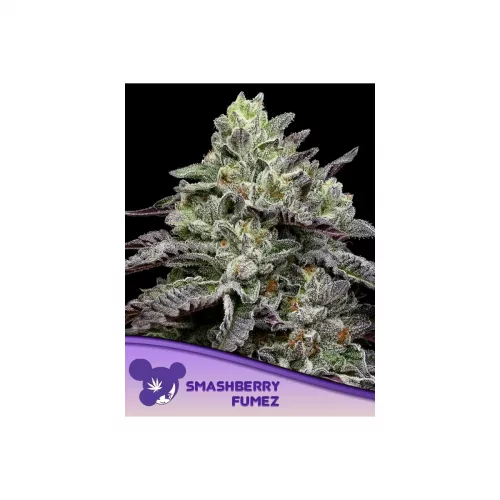 Anesia Smashberry Fumez Fem. 3St.