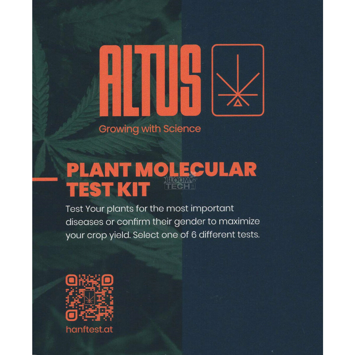 Cannabis Virus-Testkit