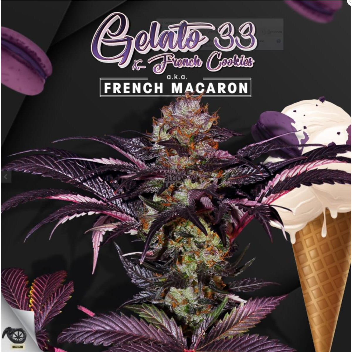 T.H. Seeds French Macaron - Gelato 33 X French Cookies Fem. 6St.